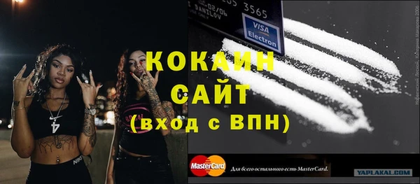 спиды Шали