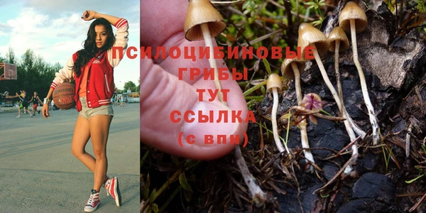герыч Переславль-Залесский