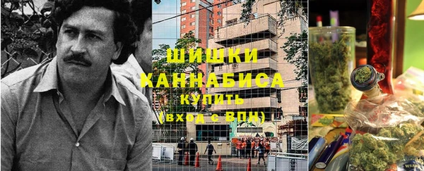 Альфа ПВП Пересвет