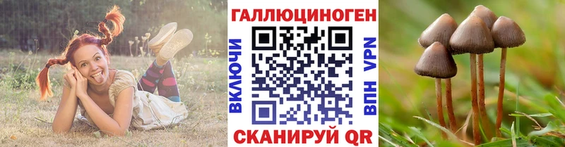 Галлюциногенные грибы Cubensis  Козельск 